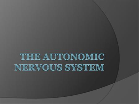 The autonomic nervous system