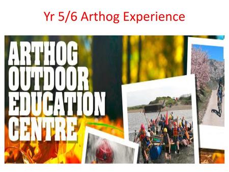 Yr 5/6 Arthog Experience.