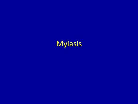 Myiasis.