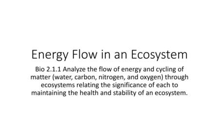 Energy Flow in an Ecosystem