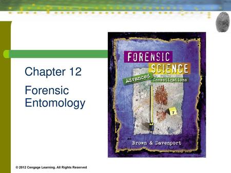 Chapter 12 Forensic Entomology