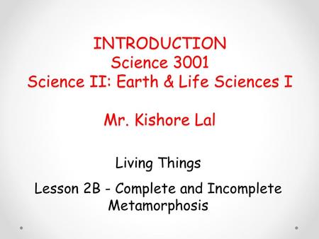 Lesson 2B - Complete and Incomplete Metamorphosis