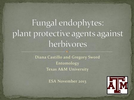 Fungal endophytes: plant protective agents against herbivores