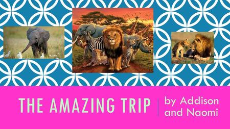 The amazing trip by Addison and Naomi.