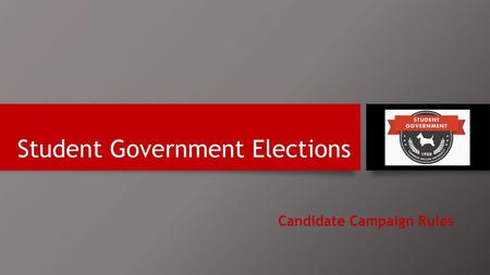 Student Government Elections