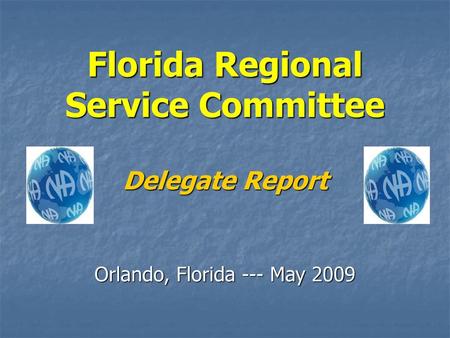 Florida Regional Service Committee Delegate Report