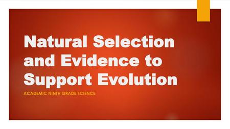 Natural Selection and Evidence to Support Evolution