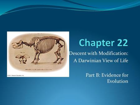 Chapter 22 Descent with Modification: A Darwinian View of Life