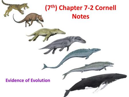 (7th) Chapter 7-2 Cornell Notes