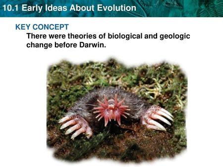 Early scientists proposed ideas about evolution.