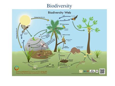 Biodiversity.