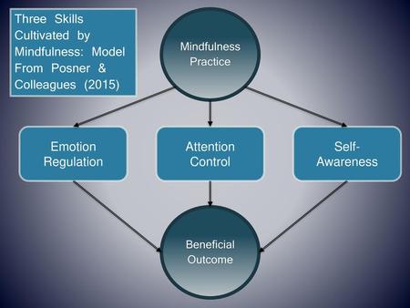 Three Skills Cultivated by Mindfulness: Model From Posner &