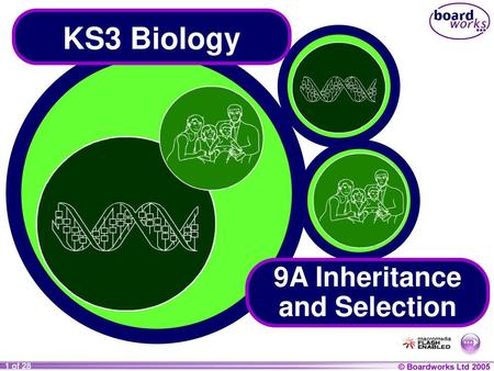 9A Inheritance and Selection