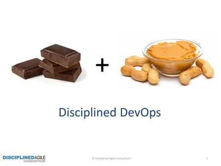 © Disciplined Agile Consortium