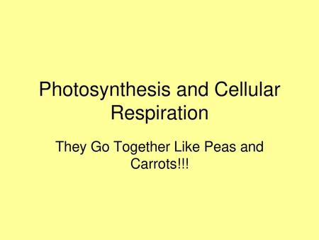 Photosynthesis and Cellular Respiration