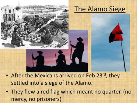 The Alamo Siege After the Mexicans arrived on Feb 23rd, they settled into a siege of the Alamo. They flew a red flag which meant no quarter. (no mercy,