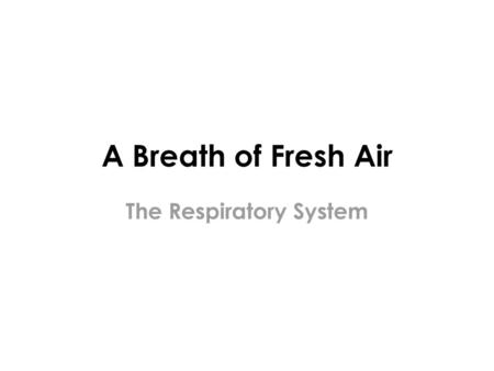 The Respiratory System