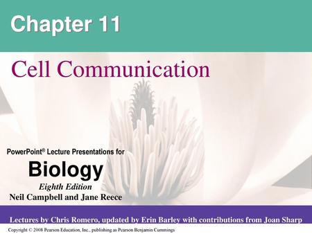 Chapter 11 Cell Communication.