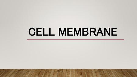 Cell Membrane.