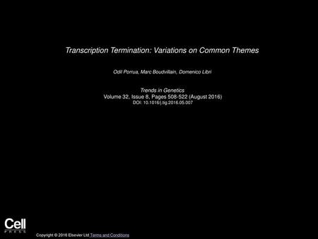 Transcription Termination: Variations on Common Themes