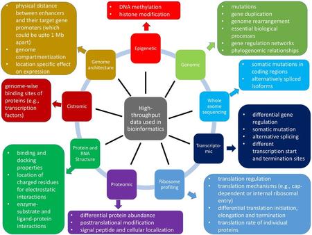 High-throughput data used in bioinformatics