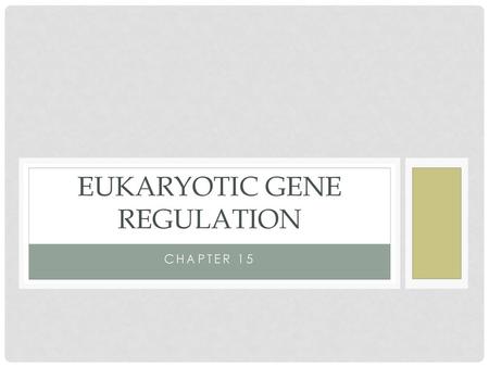 Eukaryotic Gene Regulation