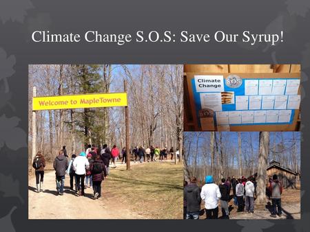 Climate Change S.O.S: Save Our Syrup!