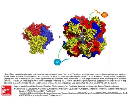 Space-filling model of the 24-meric cubic core and its constituent trimers. (Left panel) The trimer, where the three catalytic (inner-core) domains (depicted.