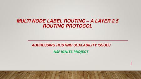 Multi Node Label Routing – A layer 2.5 routing protocol