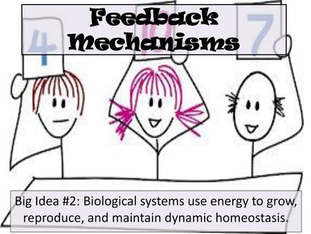 Feedback Mechanisms Big Idea #2: Biological systems use energy to grow, reproduce, and maintain dynamic homeostasis.