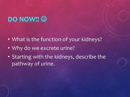 Do Now!!  What is the function of your kidneys?