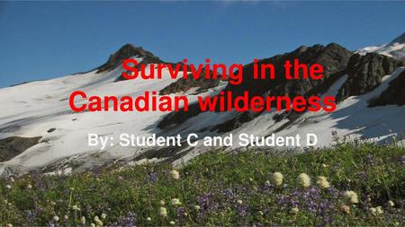 Surviving in the Canadian wilderness