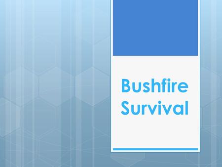 Bushfire Survival.