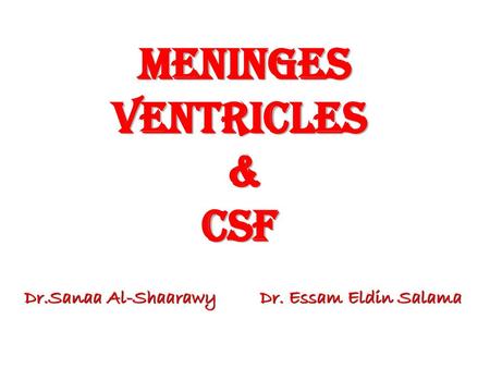 Meninges ventricles & CSF