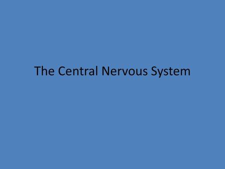 The Central Nervous System