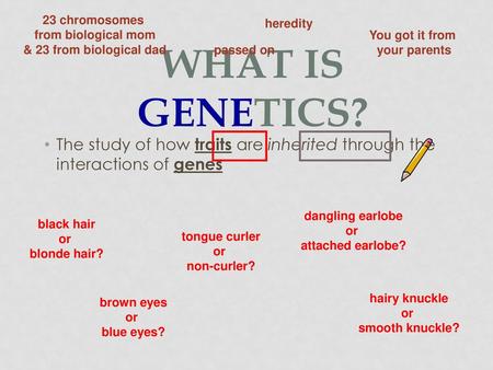 23 chromosomes from biological mom & 23 from biological dad heredity