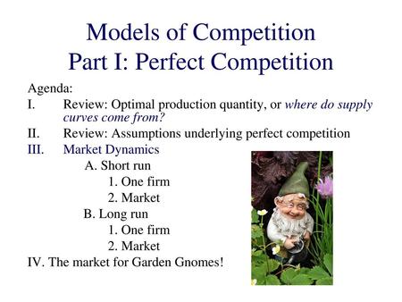 Models of Competition Part I: Perfect Competition