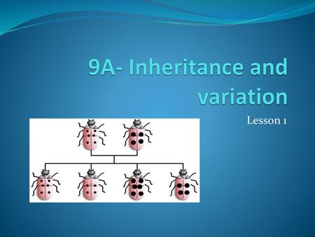 9A- Inheritance and variation