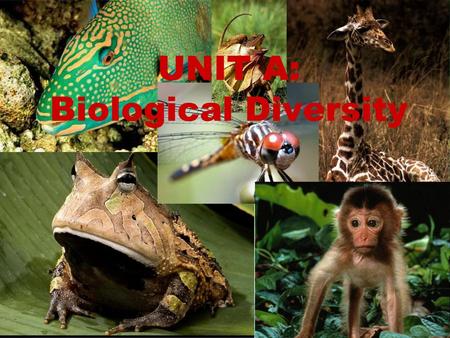 UNIT A: Biological Diversity