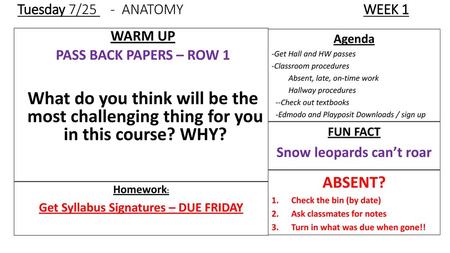 Tuesday 7/25 - ANATOMY WEEK 1