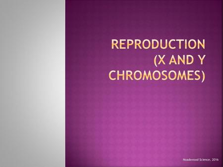 Reproduction (X and Y chromosomes)