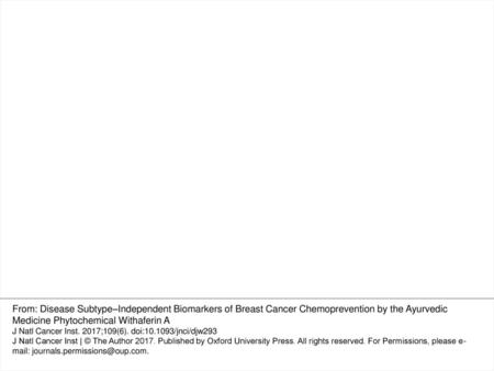 Figure 6. Effect of Withaferin A (WA) treatment on leptin-induced signaling in breast cancer cells. A) Immunoblotting for pSTAT3 (Tyr705), total STAT3,