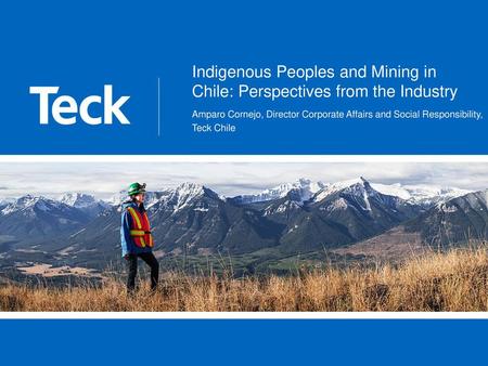 Indigenous Peoples and Mining in Chile: Perspectives from the Industry