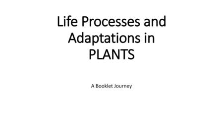 Life Processes and Adaptations in PLANTS