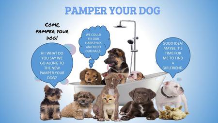 PAMPER YOUR DOG Come, pamper your dog!