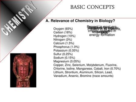 BASIC CONCEPTS CHEMISTRY Relevance of Chemistry in Biology?