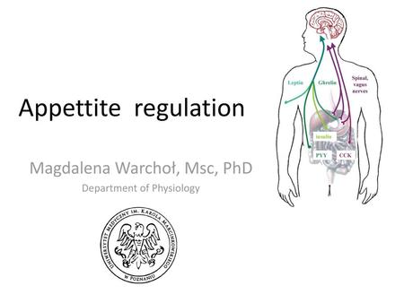 Magdalena Warchoł, Msc, PhD Department of Physiology