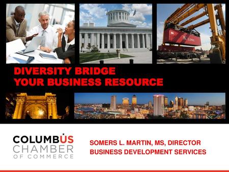 DIVERSITY BRIDGE YOUR BUSINESS RESOURCE