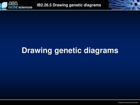 Drawing genetic diagrams