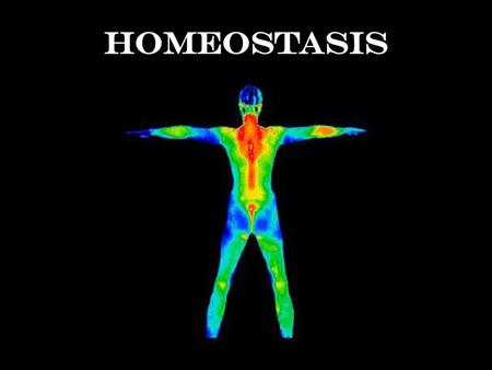 Homeostasis.